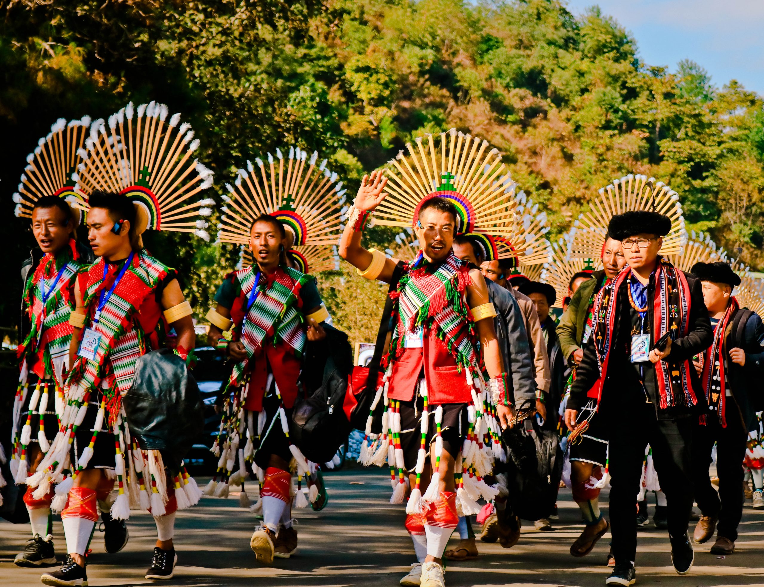 hornbill festival tour package